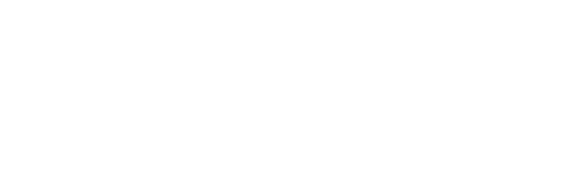 The Executive Council